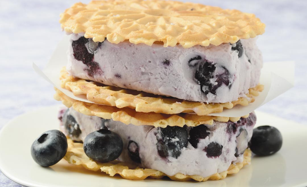 Blueberry and Chevre Semifreddo by Erin Bend