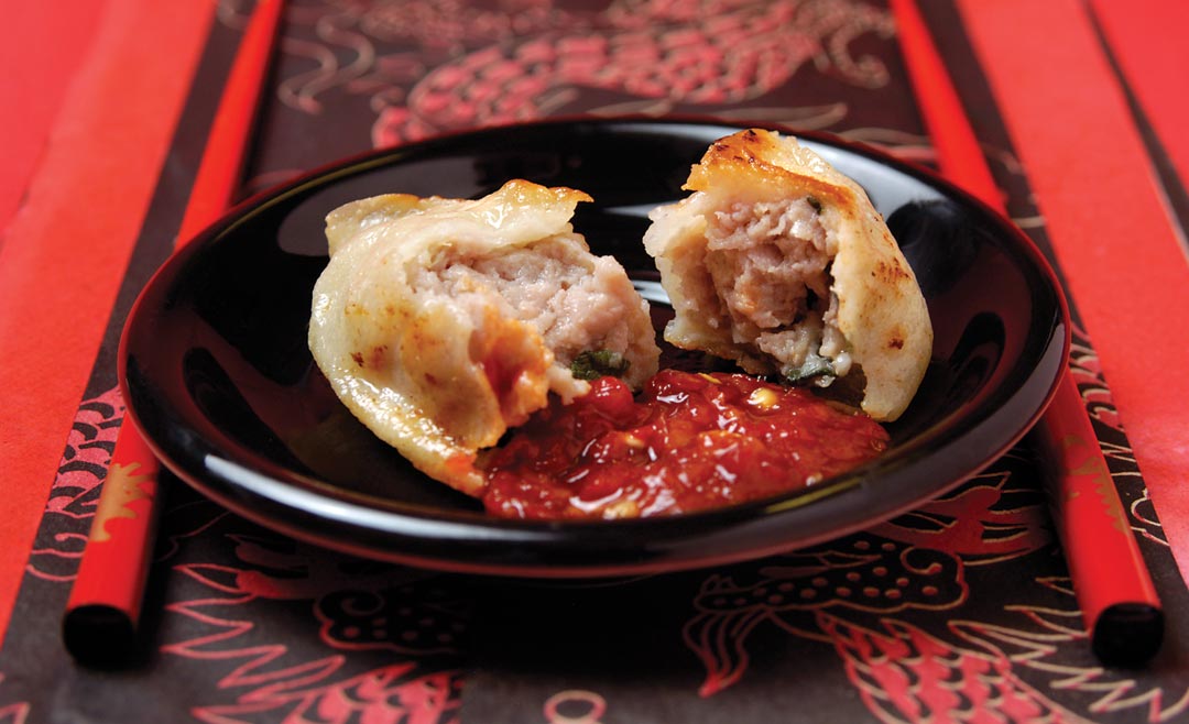 Pan-Fried Pork Dumplings