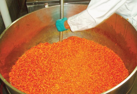 Solberry sea buckthorn berries - Deseeding process at The Food Development Centre, Portage la Prairie.