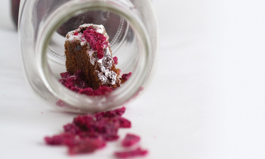 Raspberry, Expresso, and Coconut Ice Pops