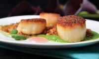 Pan-Seared Scallops by Chef Norman Pastorin of The Grove Pub & Restaurant