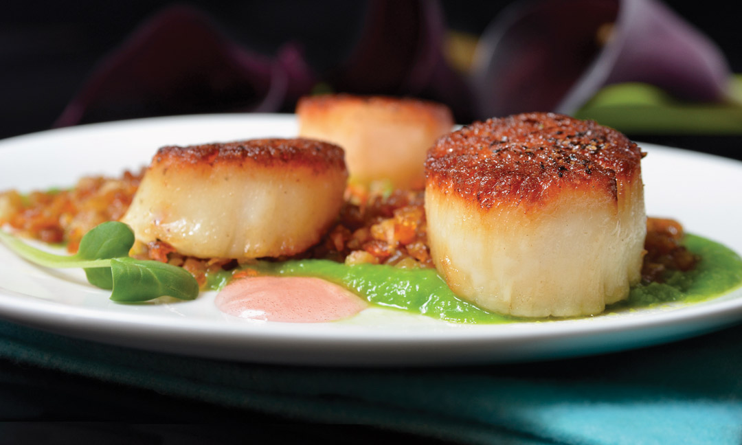 Pan-Seared Scallops