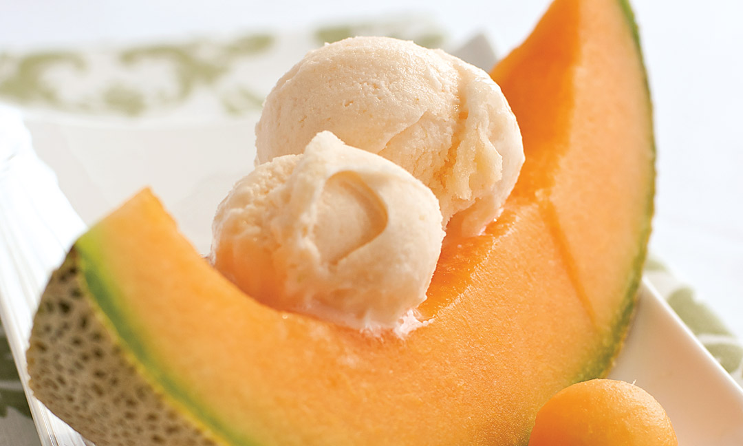 Cantaloupe Sorbet