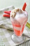 Rhubarb Float