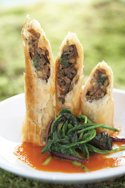 Wild Rice Spinach and Lentil Strudel with Cinnamon Saffron Tomato Coulis