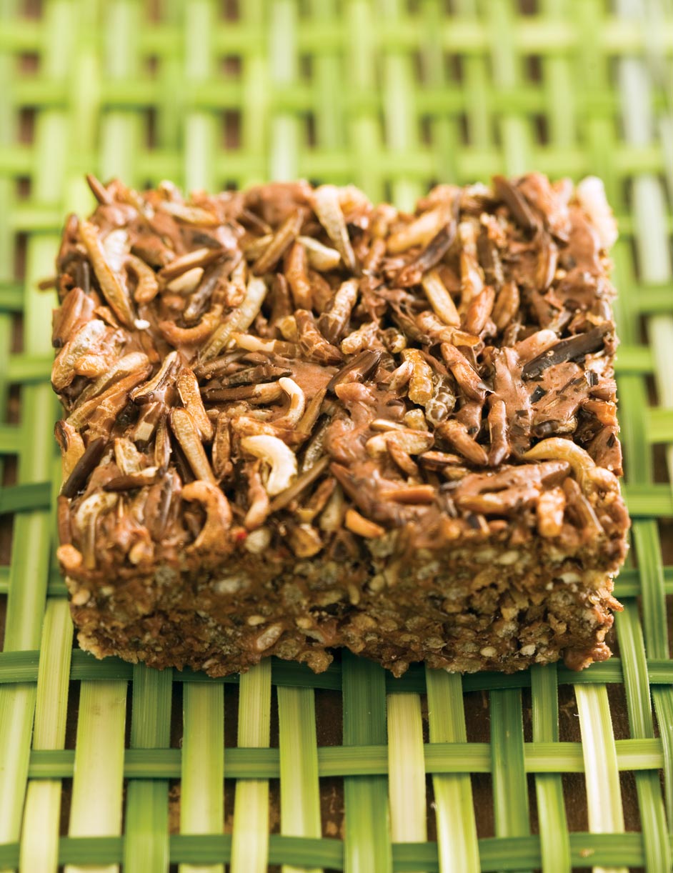 puffed wild rice square