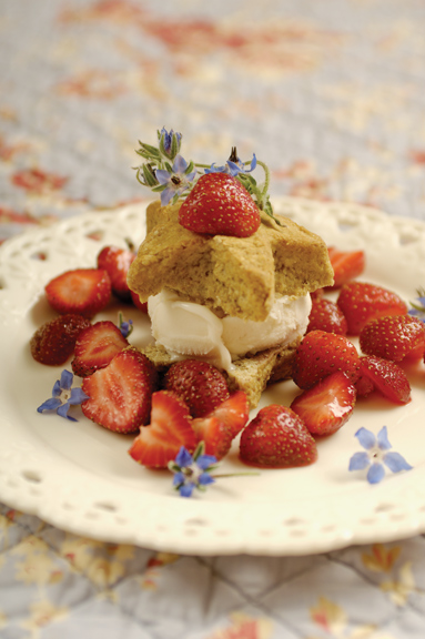 Rhubarb Shortcake with Fresh Strawberries
